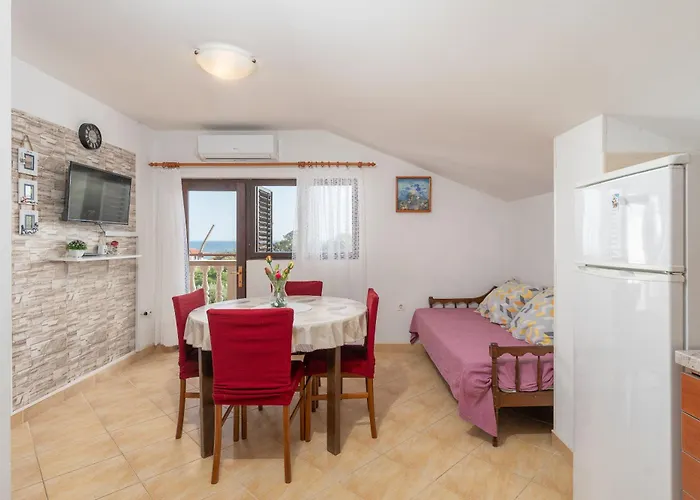 Apartamento Darko Vir