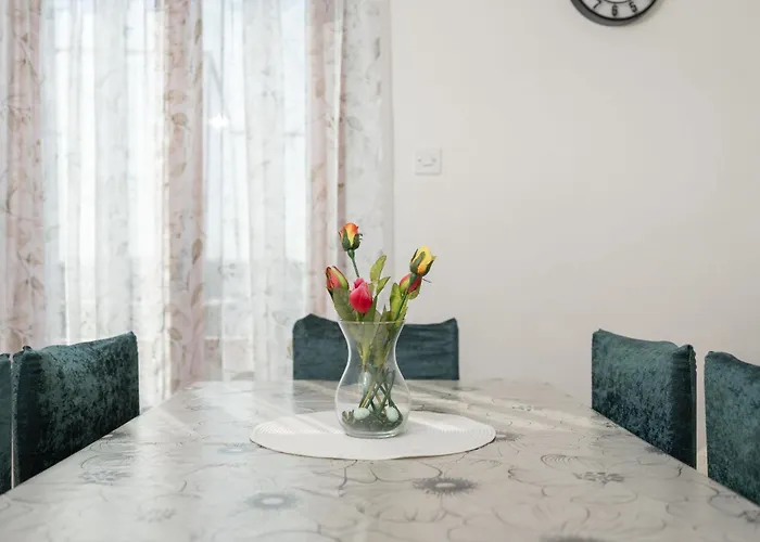 Apartamento Darko Vir