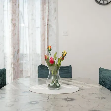 Apartamento Darko Vir